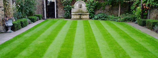 Toby's Garden Maintenance Services Mowing Hedge Cutting Gardening Rowledge Bentley Blacknest Dippenhall Dockenfield Farnham, Frensham Tilford Wrecclesham