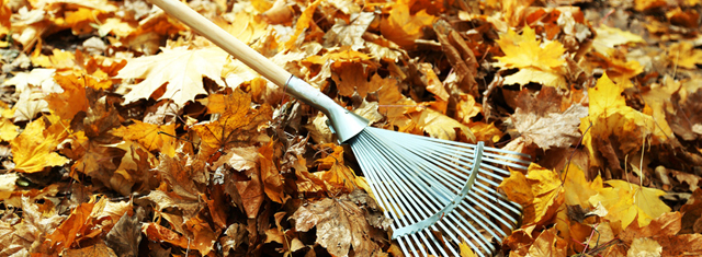 Contact Us Toby's Garden Services & Home Maintenance Gardening Mowing Rowledge Bentley Blacknest Dippenhall Dockenfield Farnham Frensham Tilford Wrecclesha